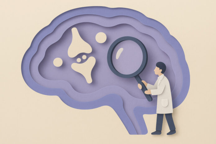 Paper cut scientist examining brain cross section with magnifying glass, exploring neurotransmitter and neural pathway in layered purple illustration Paper cut scientist examining brain cross section with magnifying glass, exploring neurotransmitter and neural pathway in layered purple illustration